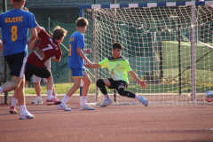 IMG_7145_1024x683