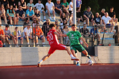 IMG_7257_1024x683