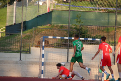 IMG_7277_1024x683