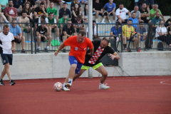 IMG_7331_1024x683
