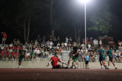 IMG_7539_1024x683