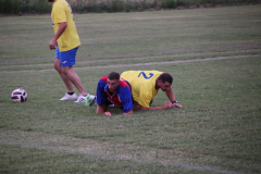 IMG_8310_1024x683