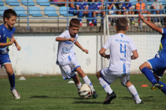 IMG_1941_1024x683