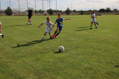 IMG_1929_1024x683