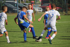 IMG_1937_1024x683