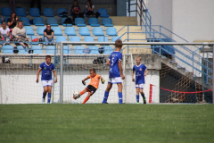 IMG_1975_1024x683
