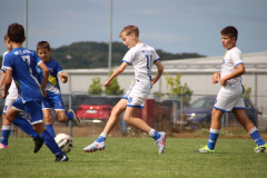 IMG_1978_1024x683
