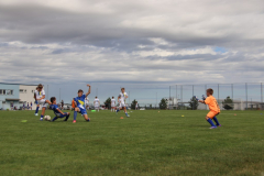 IMG_1988_1024x683