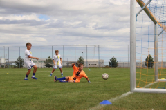 IMG_1991_1024x683