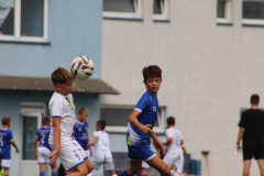 IMG_2003_1024x683