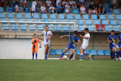 IMG_2018_1024x683