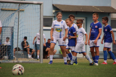 IMG_2041_1024x683