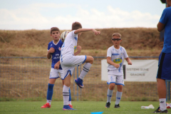 IMG_2049_1024x683