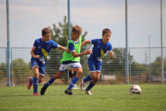 IMG_2072_1024x683