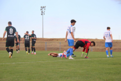 IMG_2301_1024x683