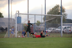 IMG_2334_1024x683