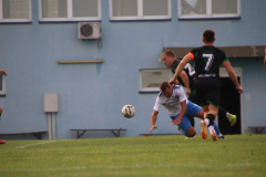 IMG_2380_1024x683
