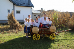 IMG_7730_1024x683