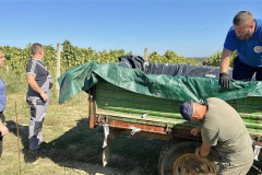 viber_slika_2025-09-22_12-50-37-564_1024x576