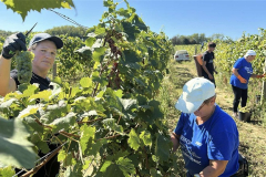 viber_slika_2025-09-22_12-50-38-170_1024x576