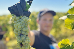 viber_slika_2025-09-22_12-50-38-567_1024x768