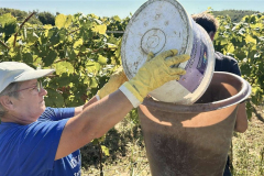 viber_slika_2025-09-22_12-50-38-787_1024x576