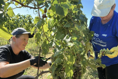 viber_slika_2025-09-22_12-50-38-975_1024x576