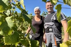 viber_slika_2025-09-22_12-51-49-309_1024x576