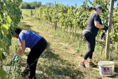 viber_slika_2025-09-22_12-51-50-089_1024x576