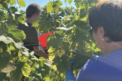 viber_slika_2025-09-22_12-51-50-298_1024x576