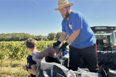 viber_slika_2025-09-22_12-51-50-704_1024x576