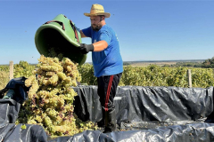 viber_slika_2025-09-22_12-51-50-926_1024x576