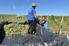 viber_slika_2025-09-22_12-51-51-138_1024x576