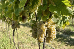 viber_slika_2025-09-22_12-51-51-333_1024x576