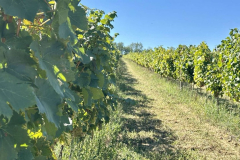 viber_slika_2025-09-22_12-51-51-547_1024x576