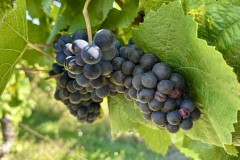 viber_slika_2025-09-22_12-51-51-752_1024x576