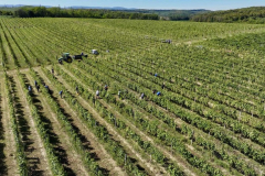 viber_slika_2025-09-22_12-53-35-136_1024x576