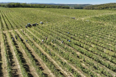 viber_slika_2025-09-22_13-03-05-996_1024x576