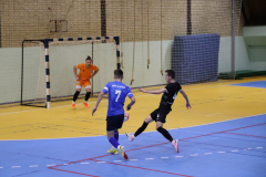 IMG_2117_1024x683