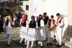 IMG_1811_800x533