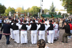 IMG_1822_800x533