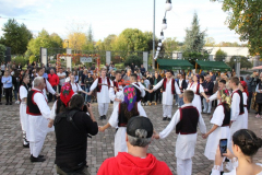 IMG_1825_800x533
