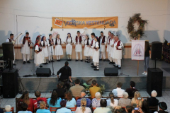 IMG_1874_800x533