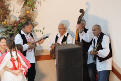 IMG_2810_800x533