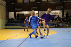 IMG_7127_1024x683