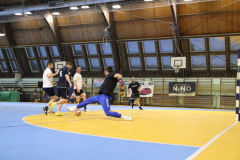 IMG_7373_1024x683