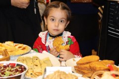 IMG_7664_1024x597