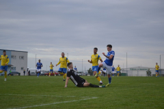 DSC_0097_1024x683