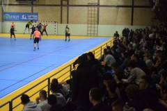 DSC_0100_1024x683