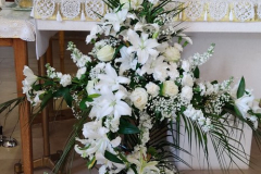 IMG_20240522_105739_1024x461